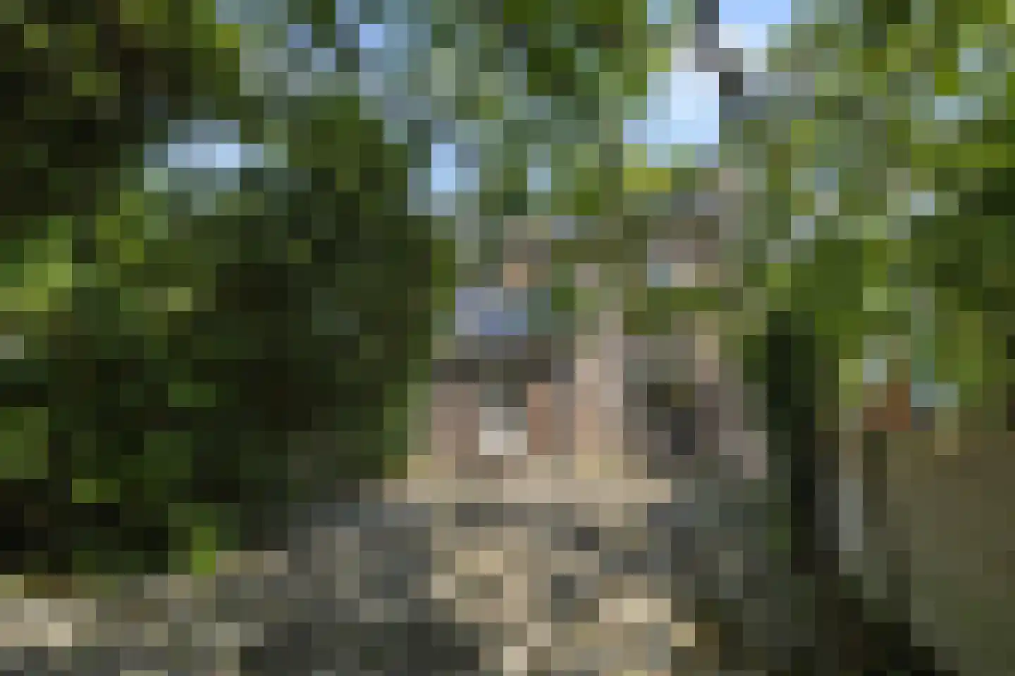 Kanaaldijk N.W. 89 Helmond thumbnail 30
