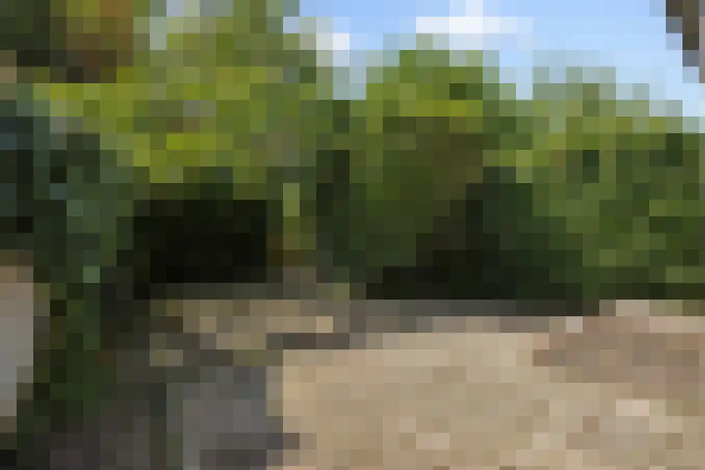 Kanaaldijk N.W. 89 Helmond thumbnail 32