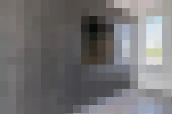 Kanaaldijk Noord 11 a Son en Breugel thumbnail 15