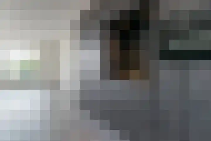 Kanaaldijk Noord 11 a Son en Breugel thumbnail 16