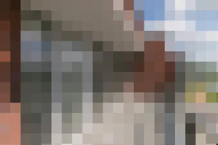 Kanaaldijk Noord 11 a Son en Breugel thumbnail 26