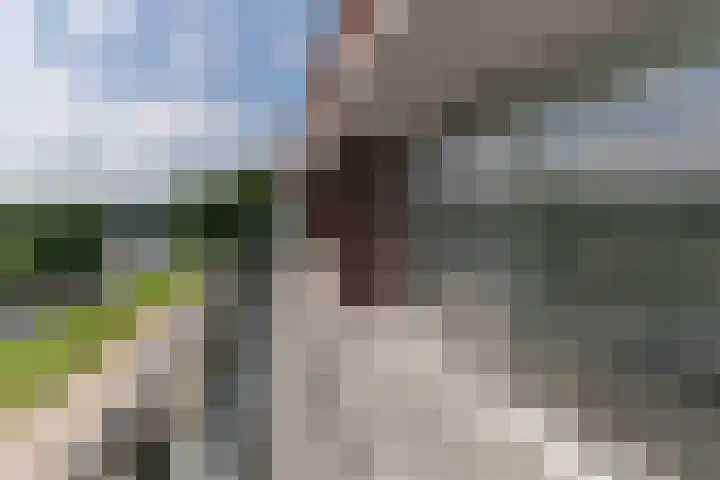 Kanaaldijk Noord 11 a Son en Breugel thumbnail 27