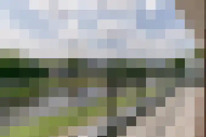 Kanaaldijk Noord 11 a Son en Breugel thumbnail 28