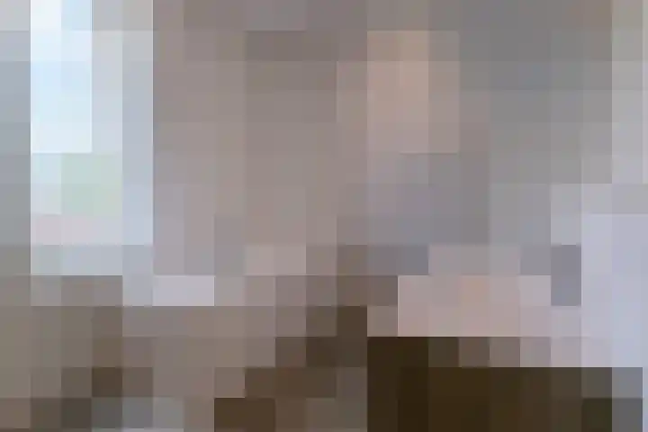 Kanaaldijk Noord 11 a Son en Breugel thumbnail 4