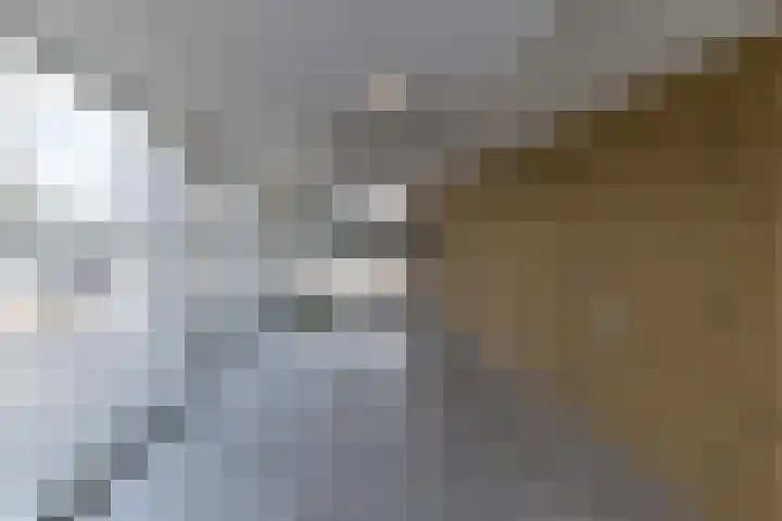 Kanaaldijk Noord 11 a Son en Breugel thumbnail 7