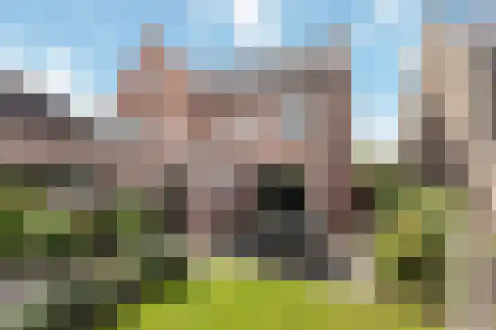 Kanaaldijk-noord 59 Lemelerveld thumbnail 16