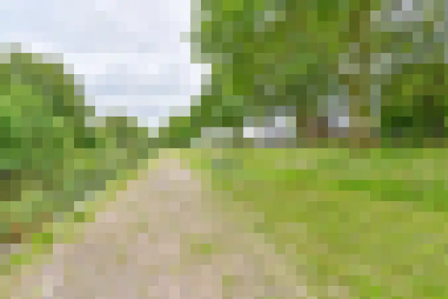 Kanaaldijk Noordzijde 4 't Haantje thumbnail 12