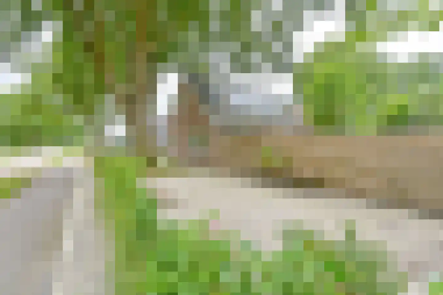 Kanaaldijk Noordzijde 4 't Haantje thumbnail 14