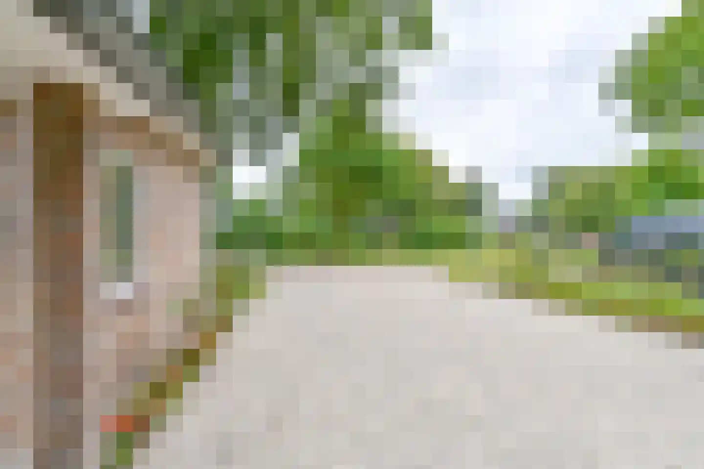 Kanaaldijk Noordzijde 4 't Haantje thumbnail 19