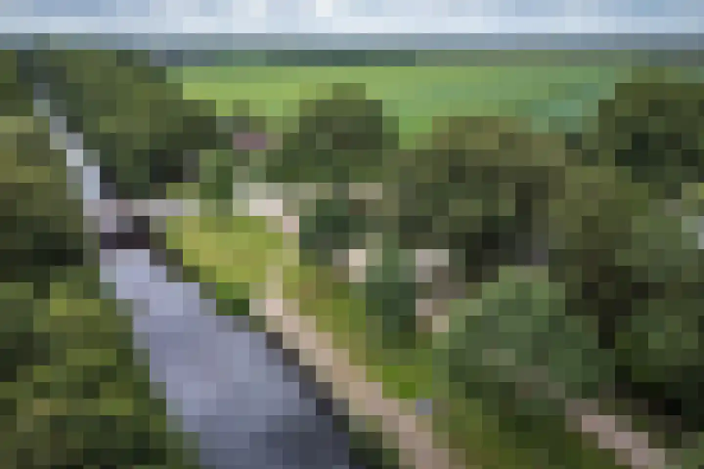 Kanaaldijk Noordzijde 4 't Haantje foto 2