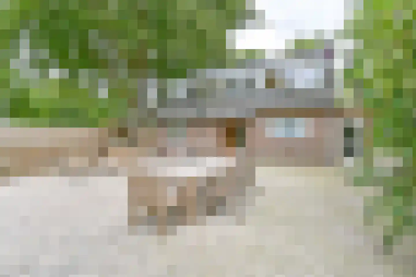 Kanaaldijk Noordzijde 4 't Haantje foto 3