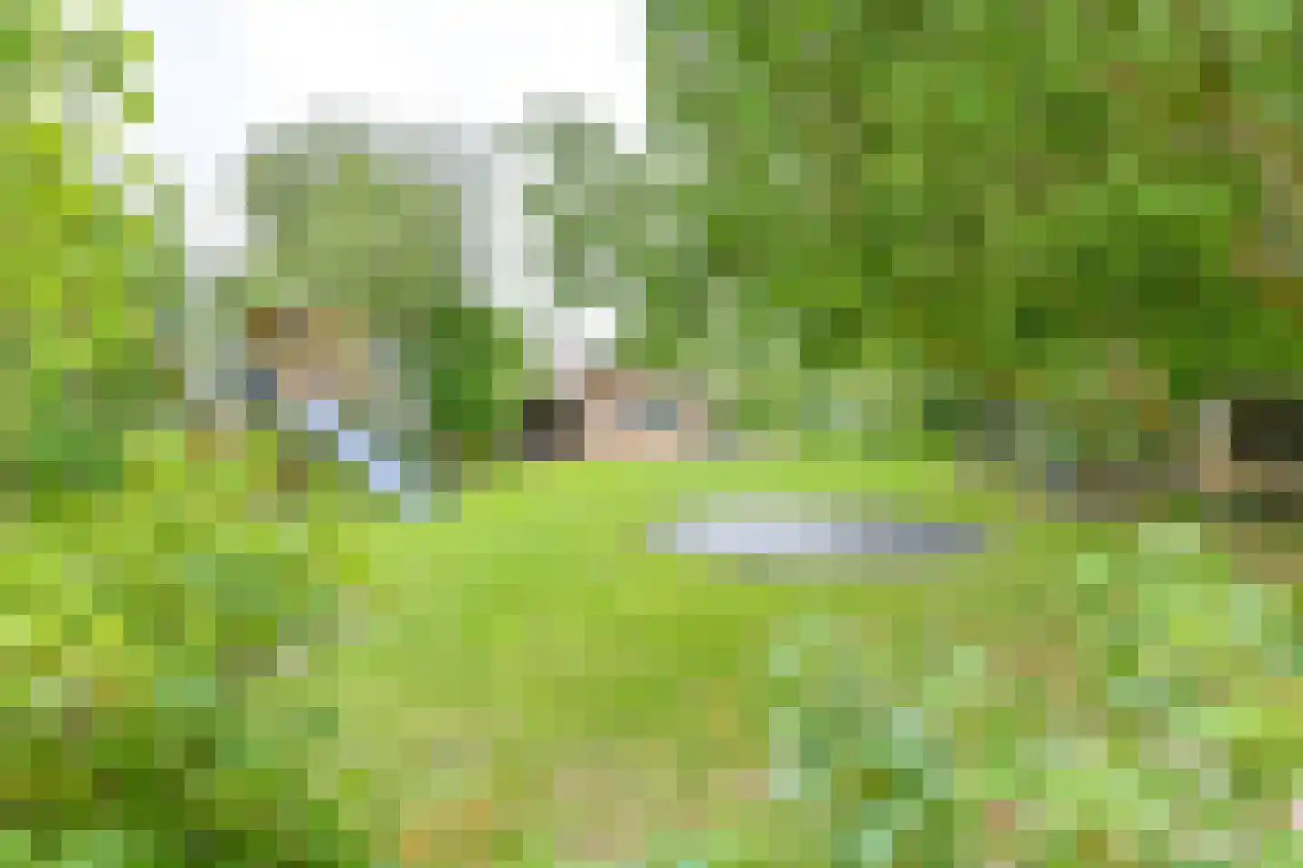 Kanaaldijk Noordzijde 4 't Haantje thumbnail 4