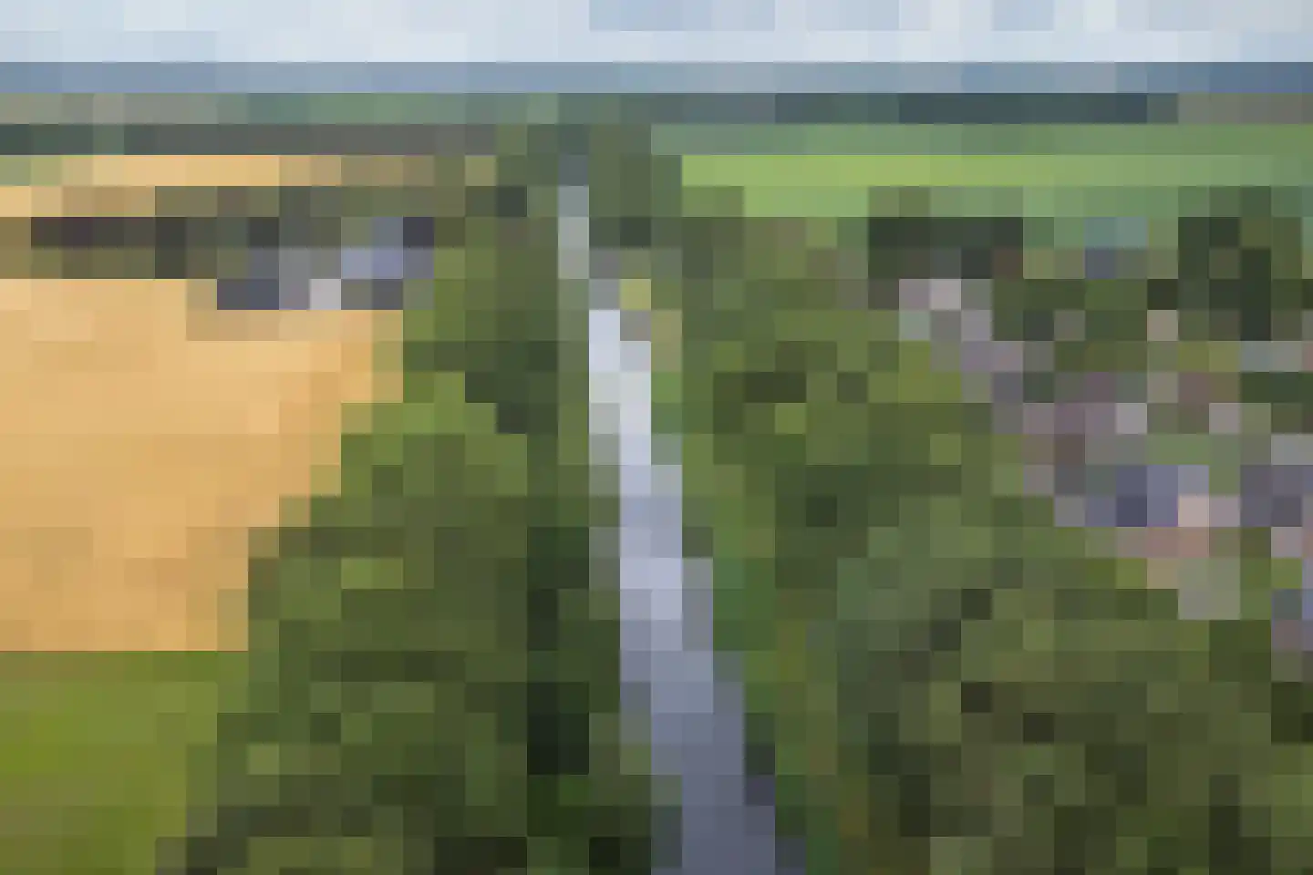 Kanaaldijk Noordzijde 4 't Haantje thumbnail 5