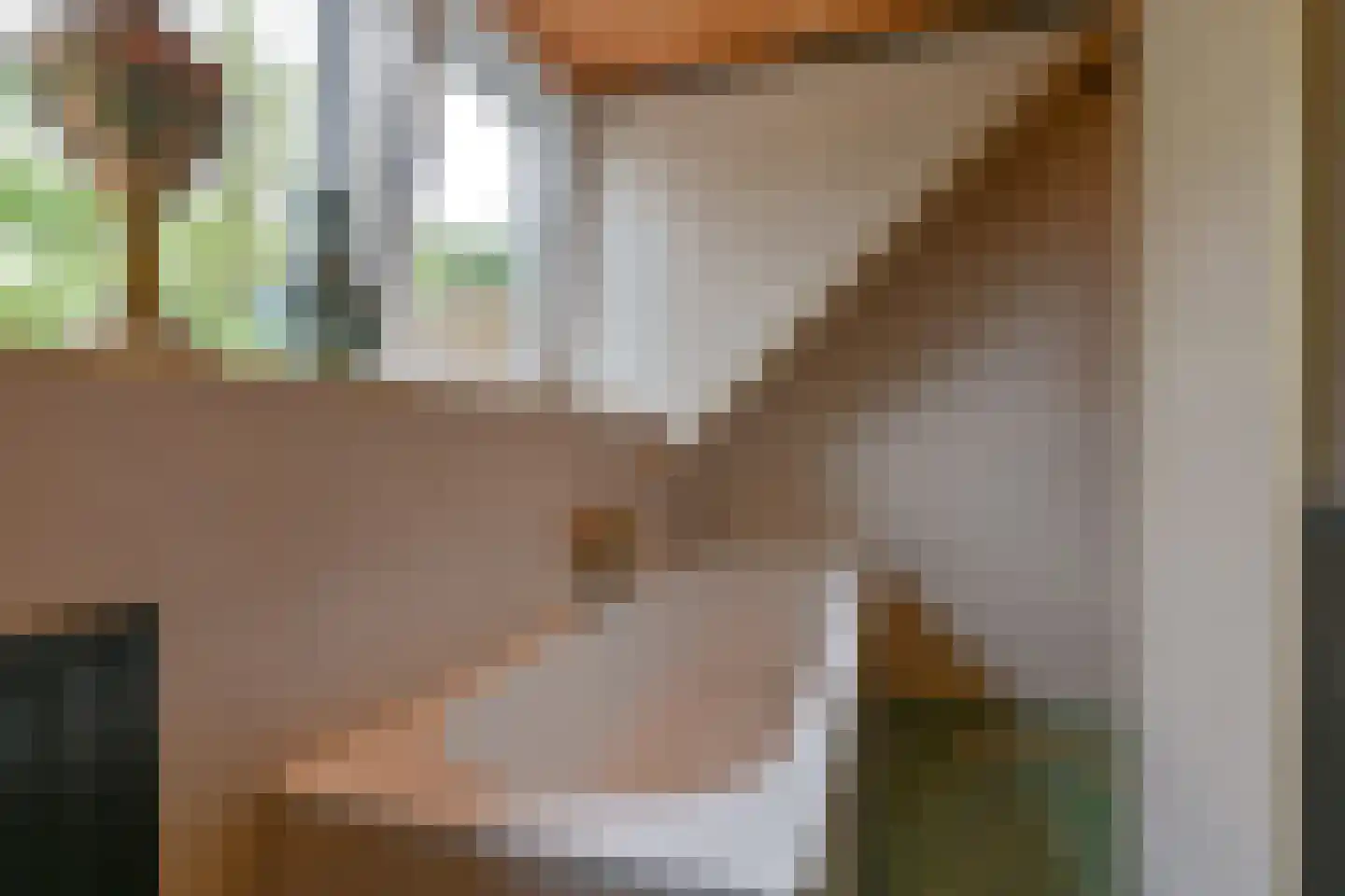 Kanaaldijk Noordzijde 4 't Haantje thumbnail 57