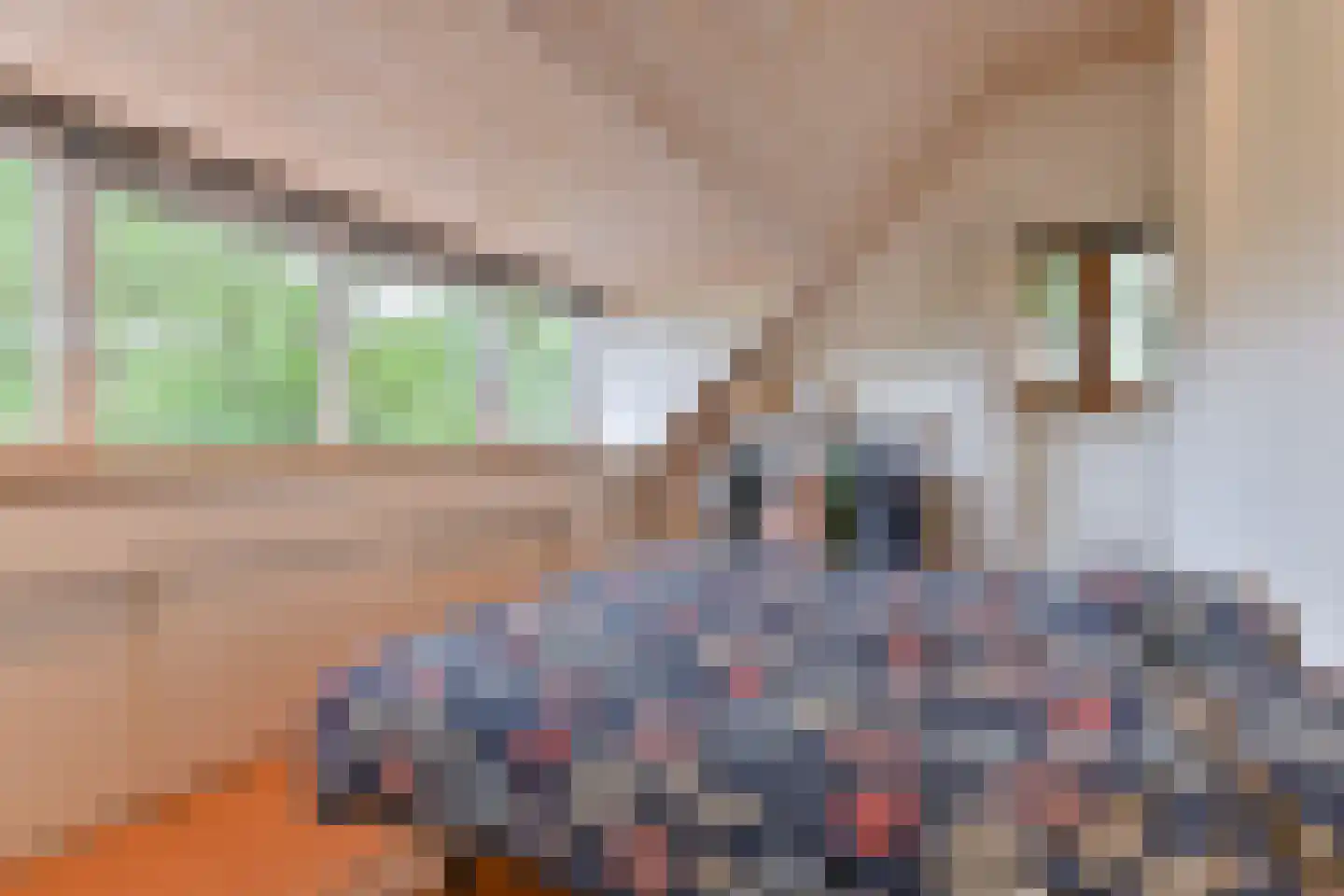 Kanaaldijk Noordzijde 4 't Haantje thumbnail 69