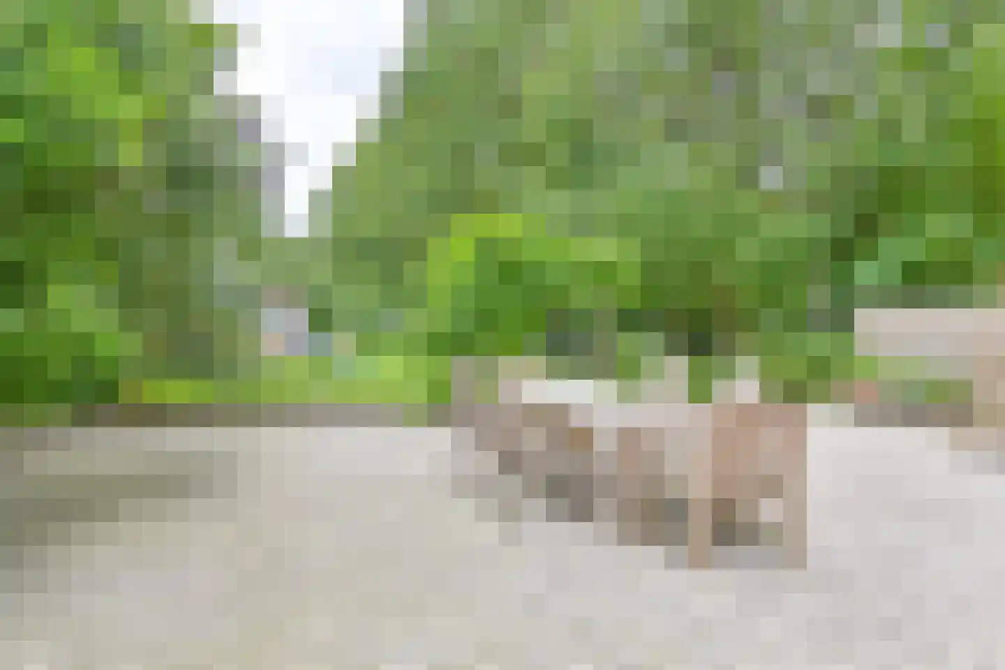 Kanaaldijk Noordzijde 4 't Haantje thumbnail 77