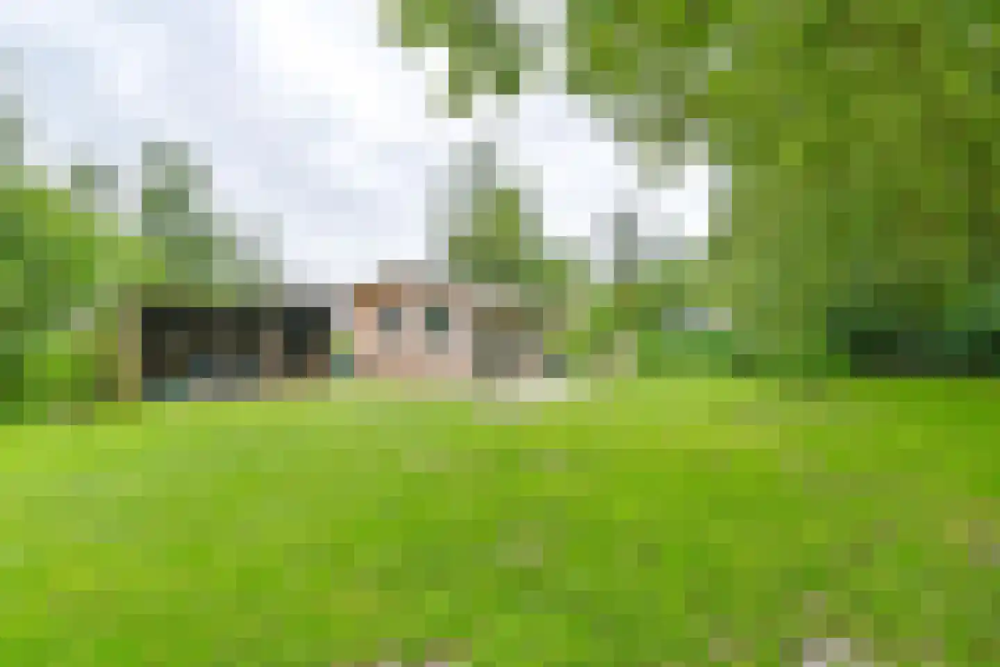Kanaaldijk Noordzijde 4 't Haantje thumbnail 78