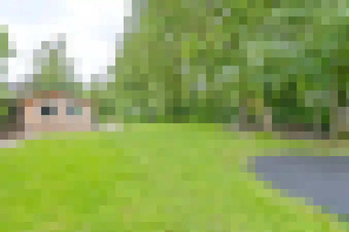Kanaaldijk Noordzijde 4 't Haantje thumbnail 79
