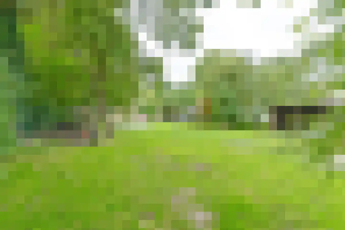 Kanaaldijk Noordzijde 4 't Haantje thumbnail 80