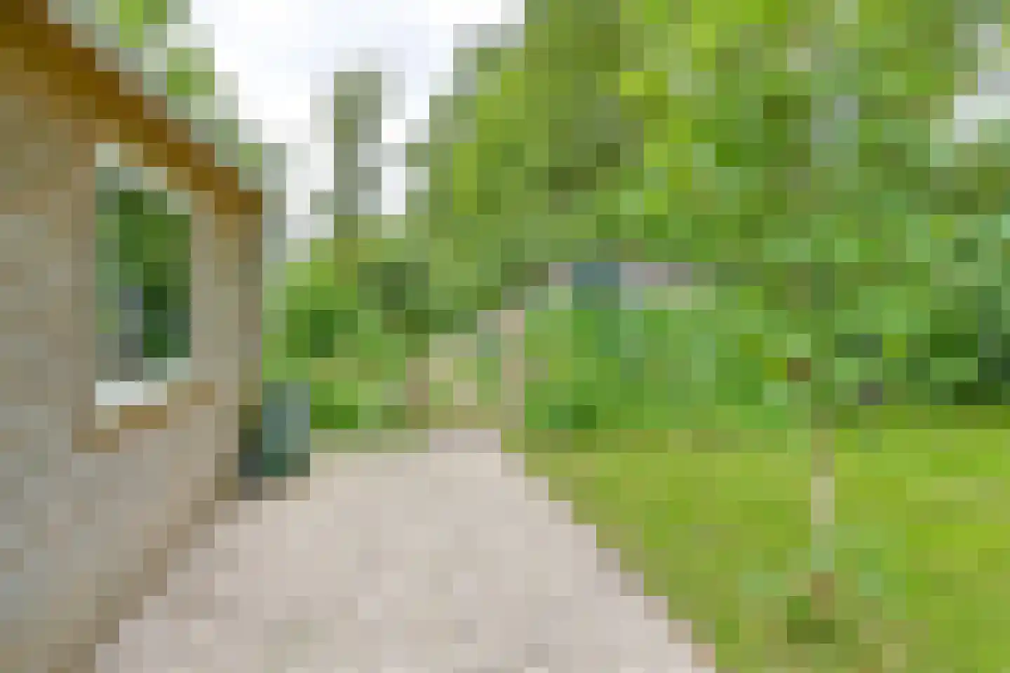 Kanaaldijk Noordzijde 4 't Haantje thumbnail 82