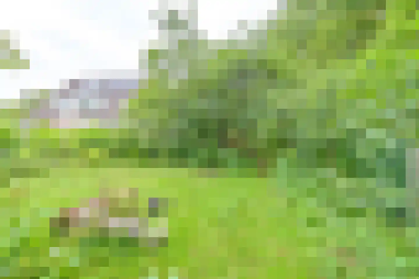 Kanaaldijk Noordzijde 4 't Haantje thumbnail 84