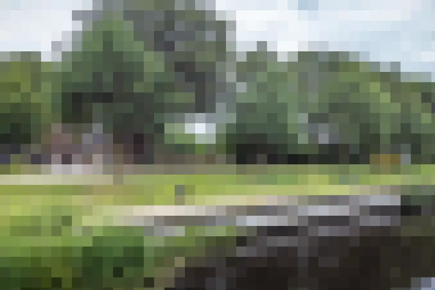 Kanaaldijk Noordzijde 4 't Haantje thumbnail 88