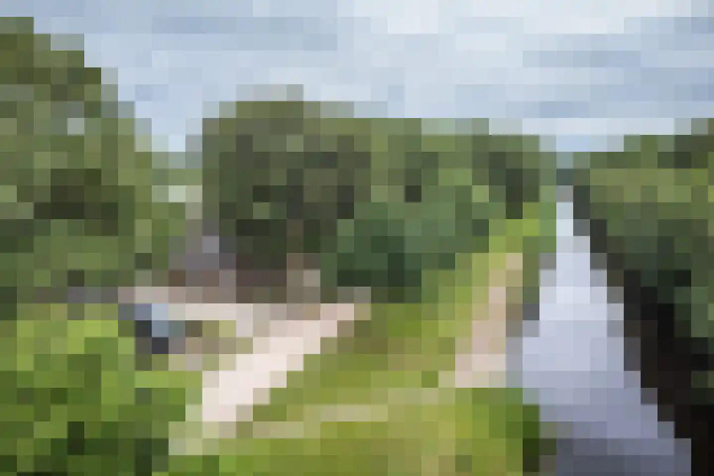 Kanaaldijk Noordzijde 4 't Haantje thumbnail 89