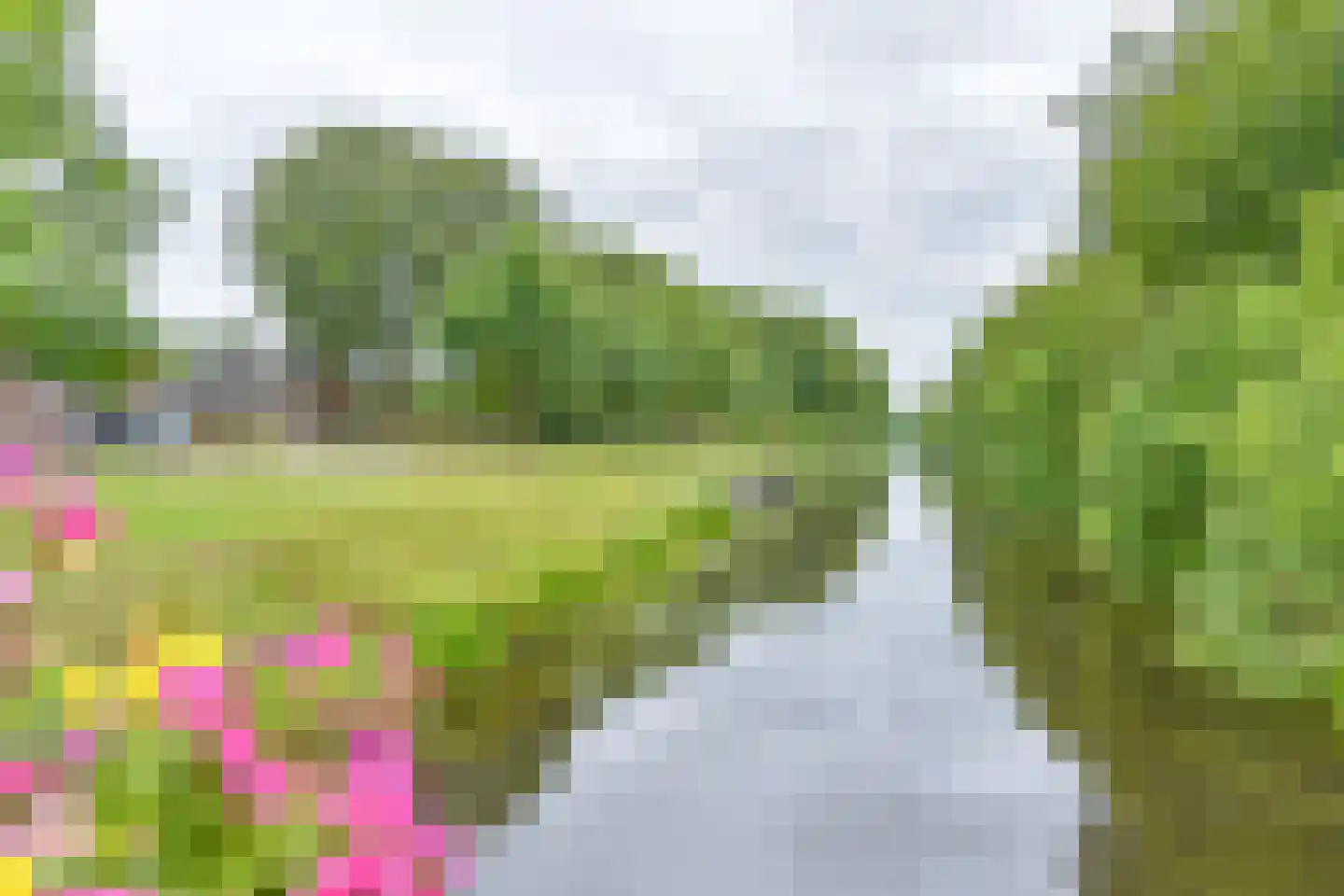 Kanaaldijk Noordzijde 4 't Haantje thumbnail 9