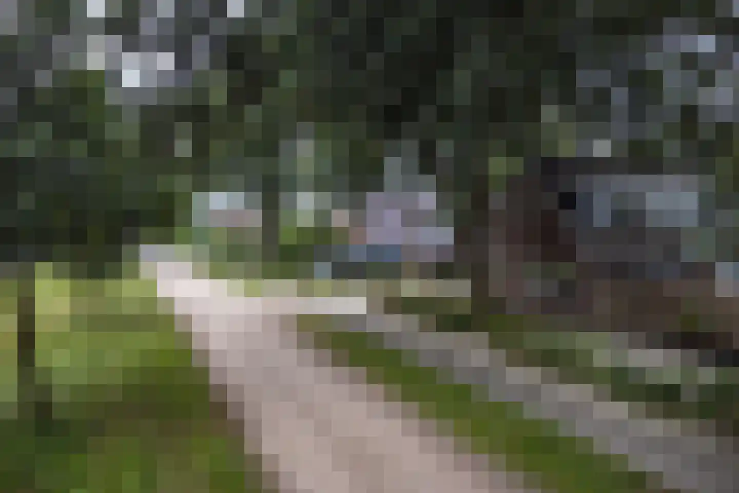Kanaaldijk Noordzijde 4 't Haantje thumbnail 90