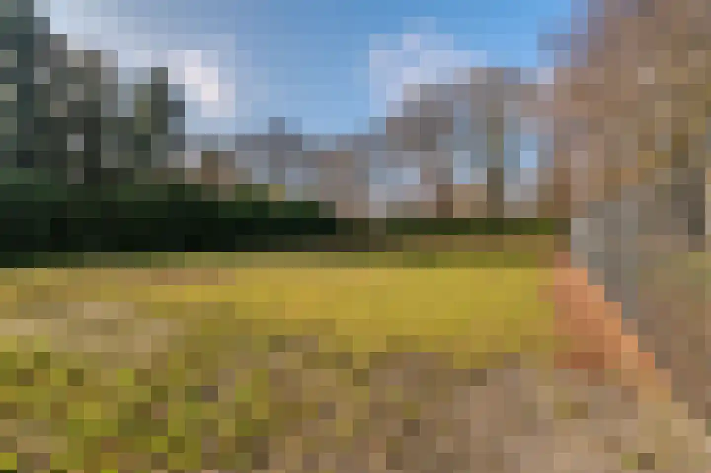 Kanaaldijk O.Z. 2 Bellingwolde thumbnail 20