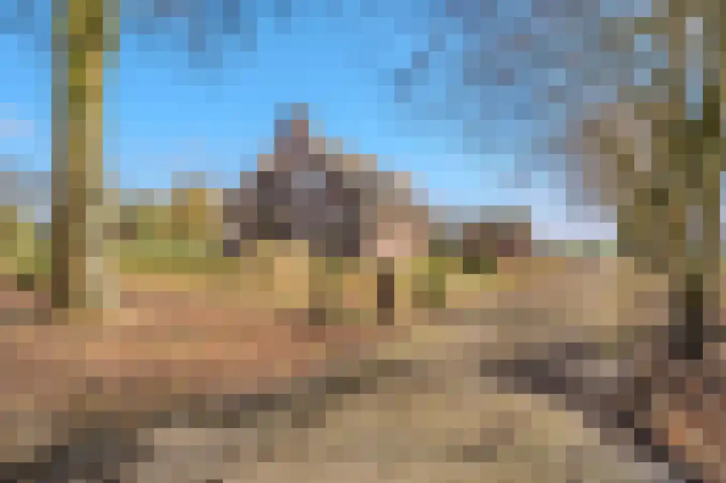 Kanaaldijk O.Z. 2 Bellingwolde thumbnail 4