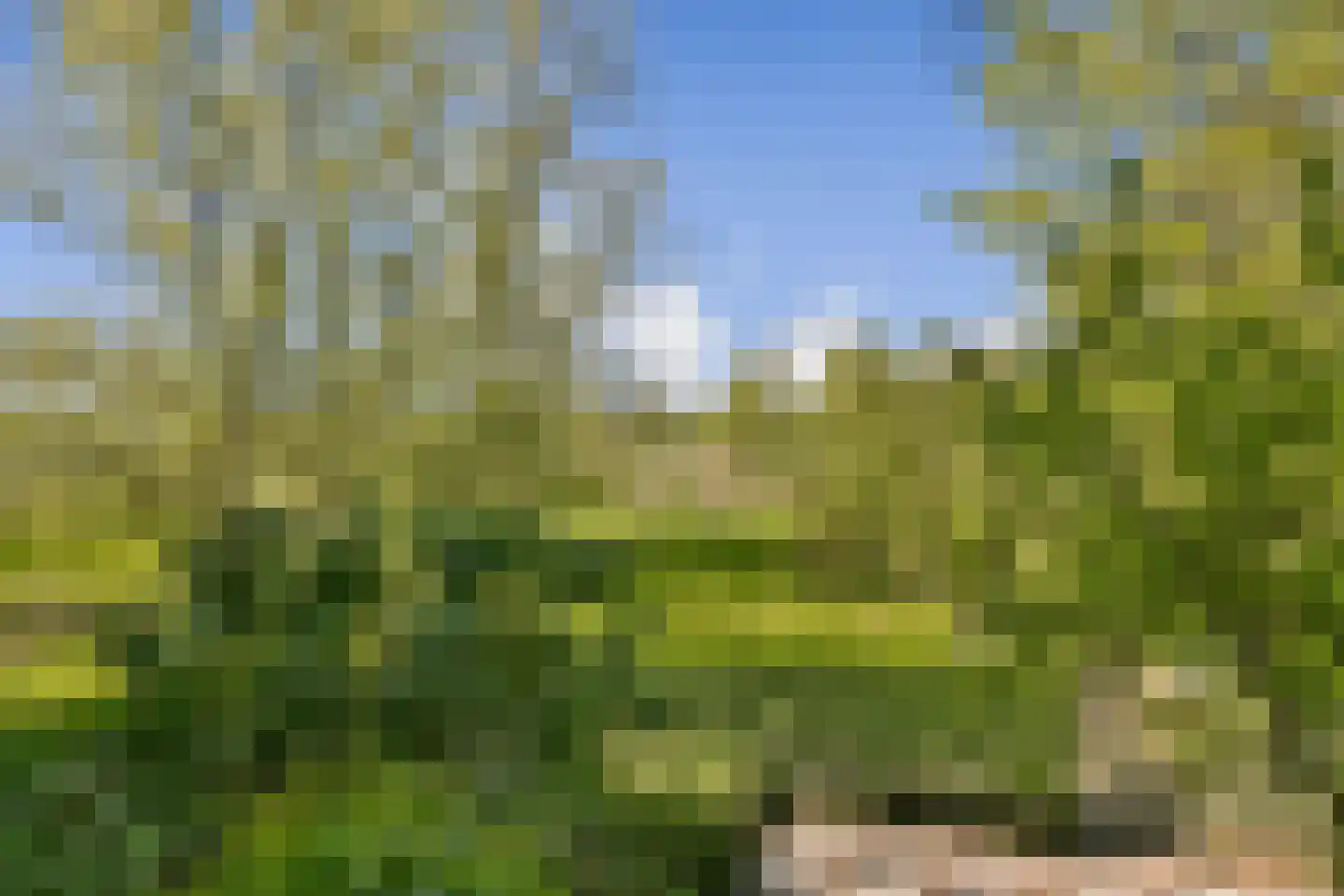 Kanaaldijk West 1 Abcoude thumbnail 25