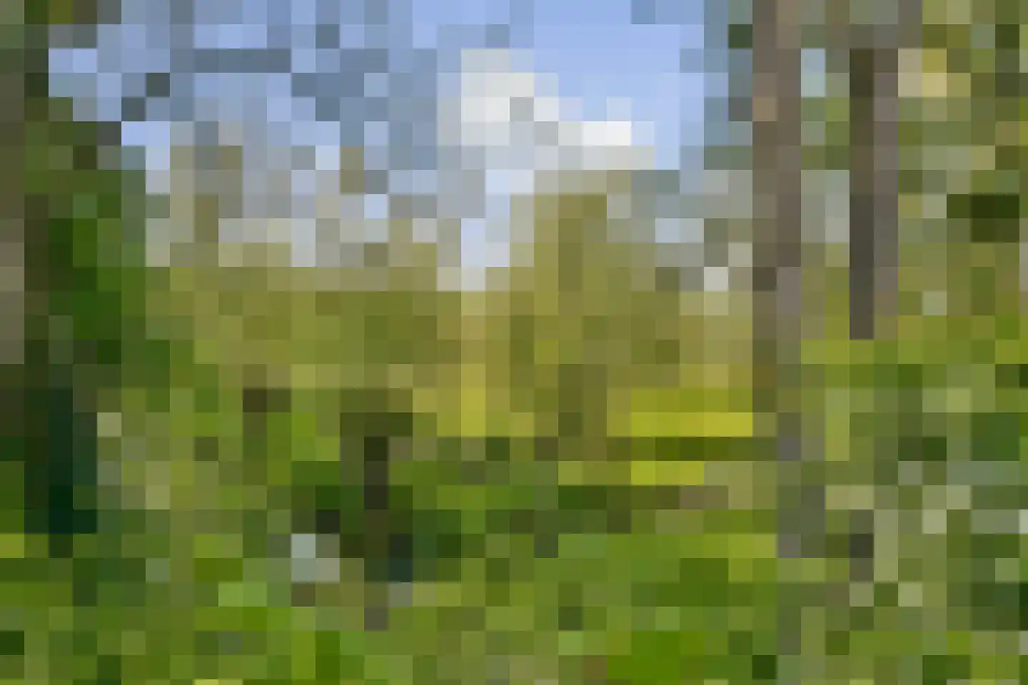 Kanaaldijk West 1 Abcoude thumbnail 26