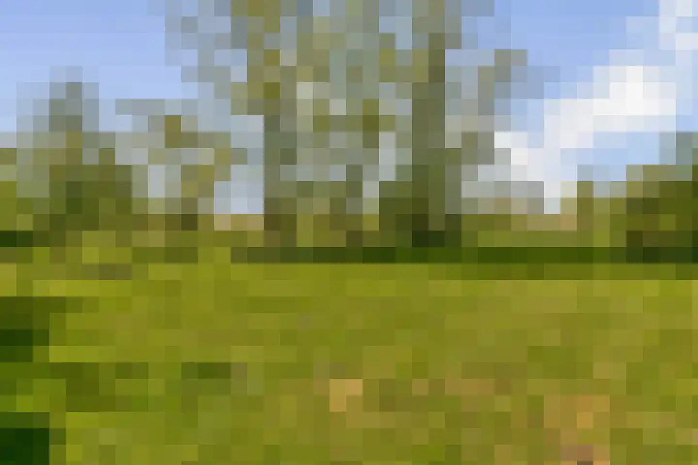 Kanaaldijk West 1 Abcoude thumbnail 27