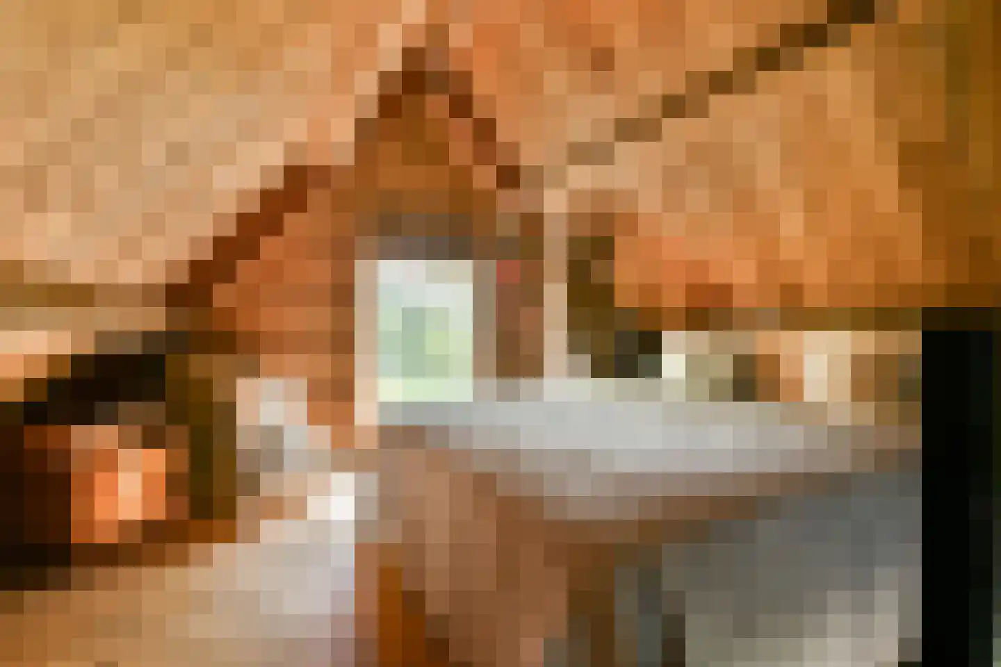 Kanaaldijk West 1 Abcoude thumbnail 36