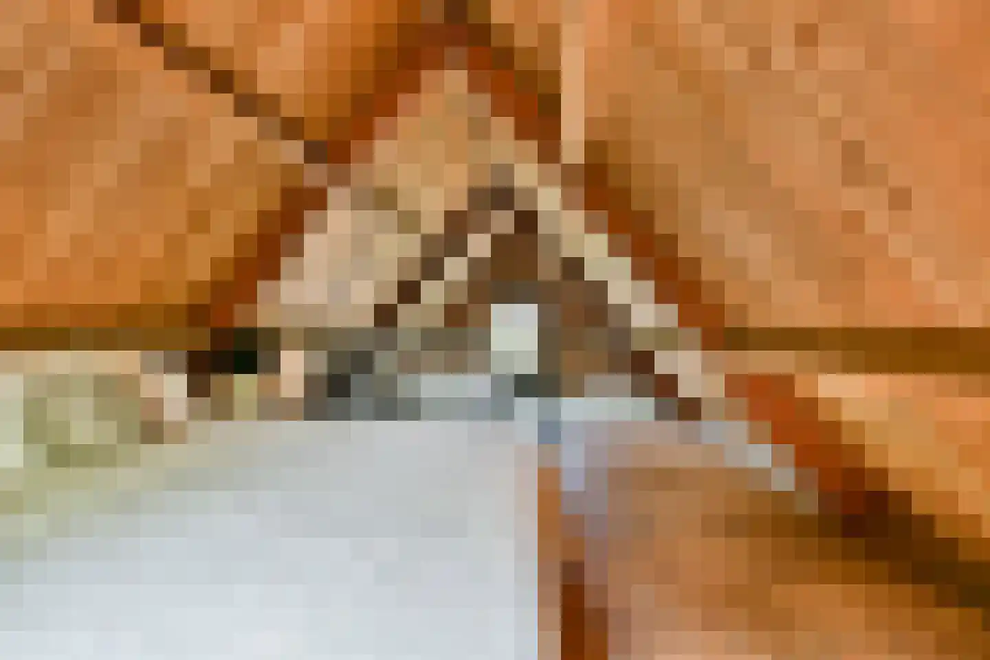 Kanaaldijk West 1 Abcoude thumbnail 37