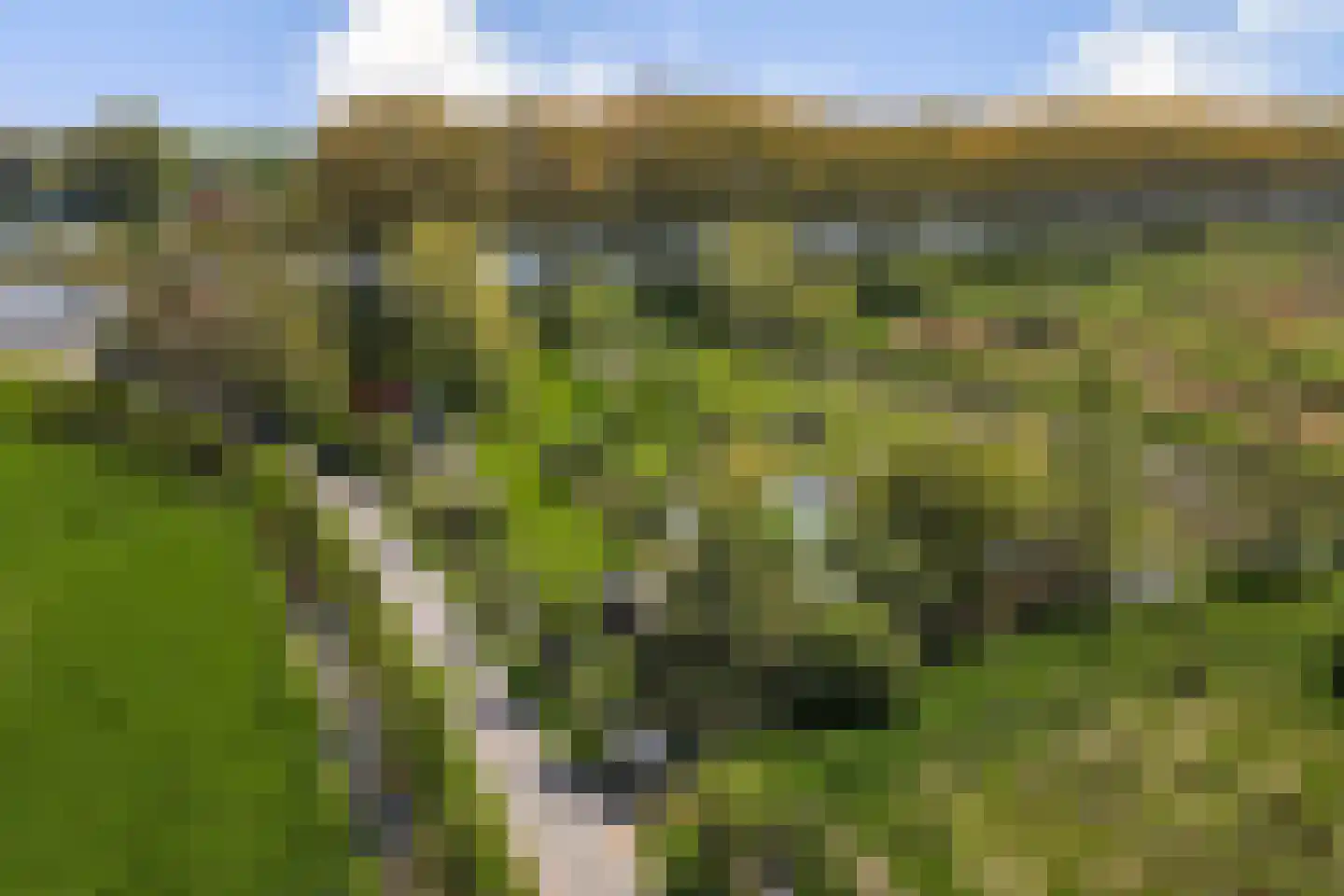 Kanaaldijk West 1 Abcoude thumbnail 44