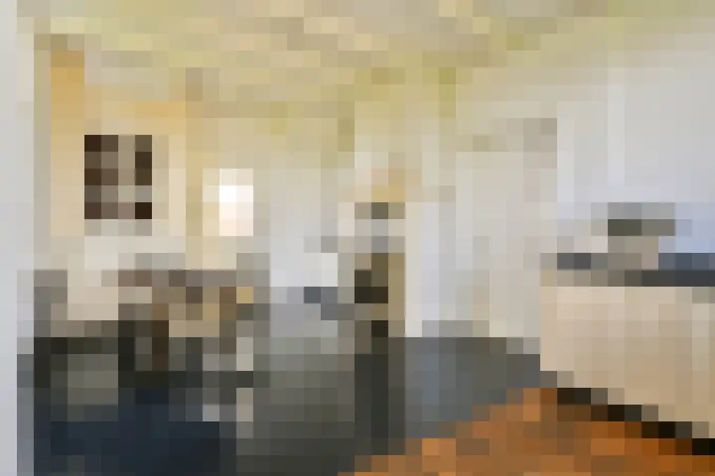 Kanaaldijk West 1 Abcoude thumbnail 7