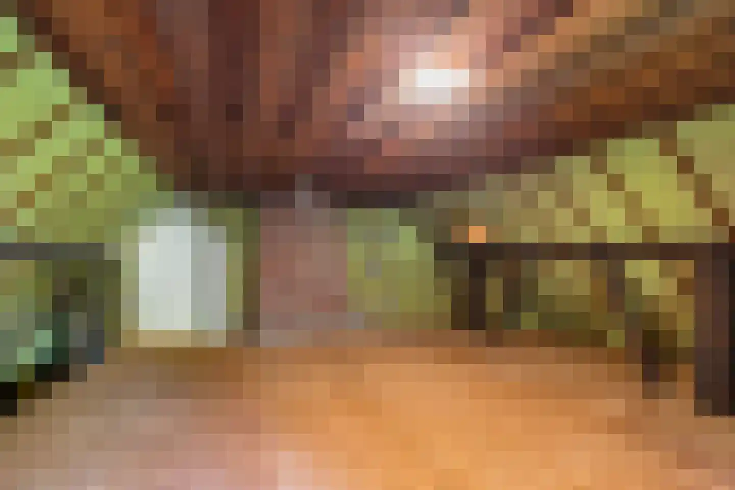 Kanaaldijk West 45 Schalkhaar thumbnail 29