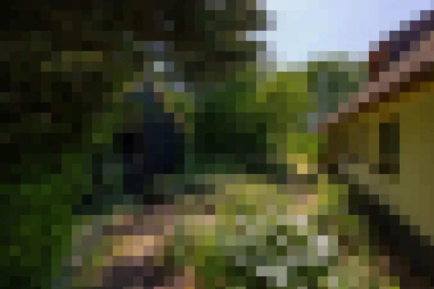 Kanaaldijk West 45 Schalkhaar thumbnail 31