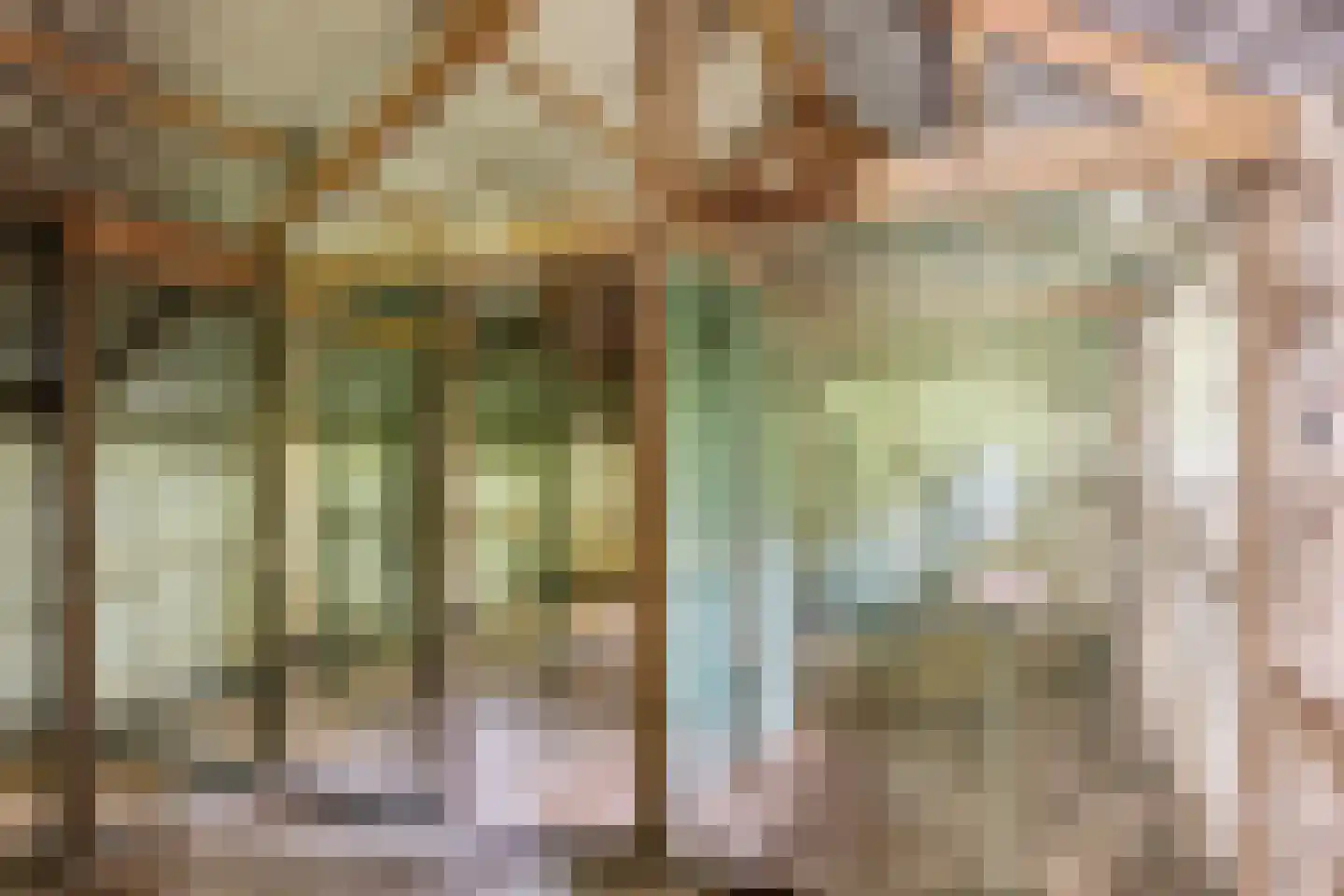 Kanaaldijk West 45 Schalkhaar thumbnail 34