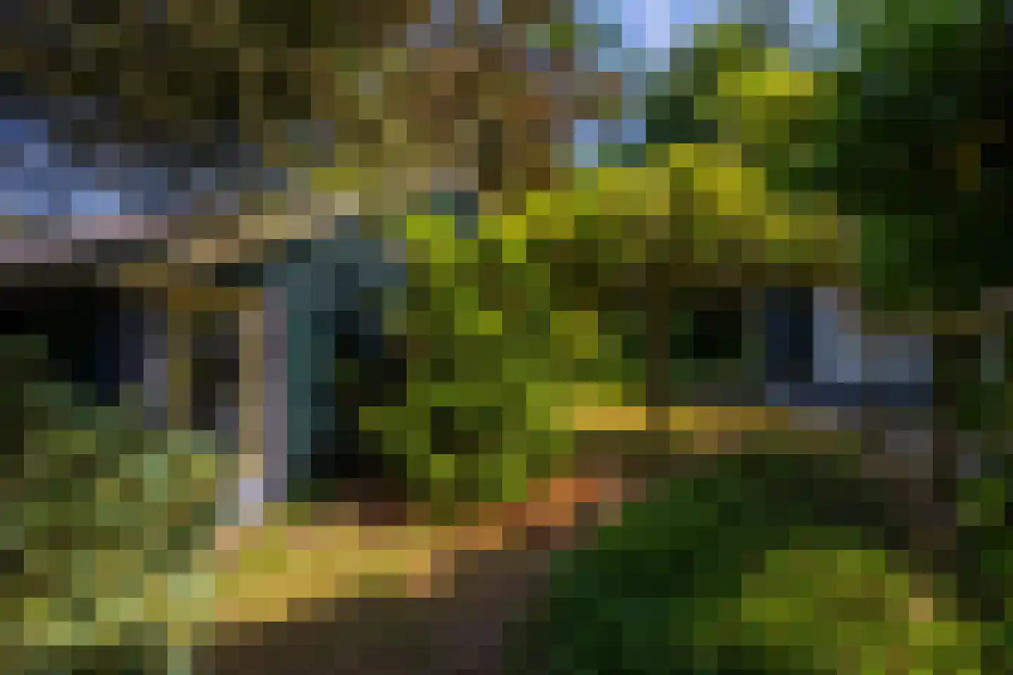 Kanaaldijk West 45 Schalkhaar thumbnail 36