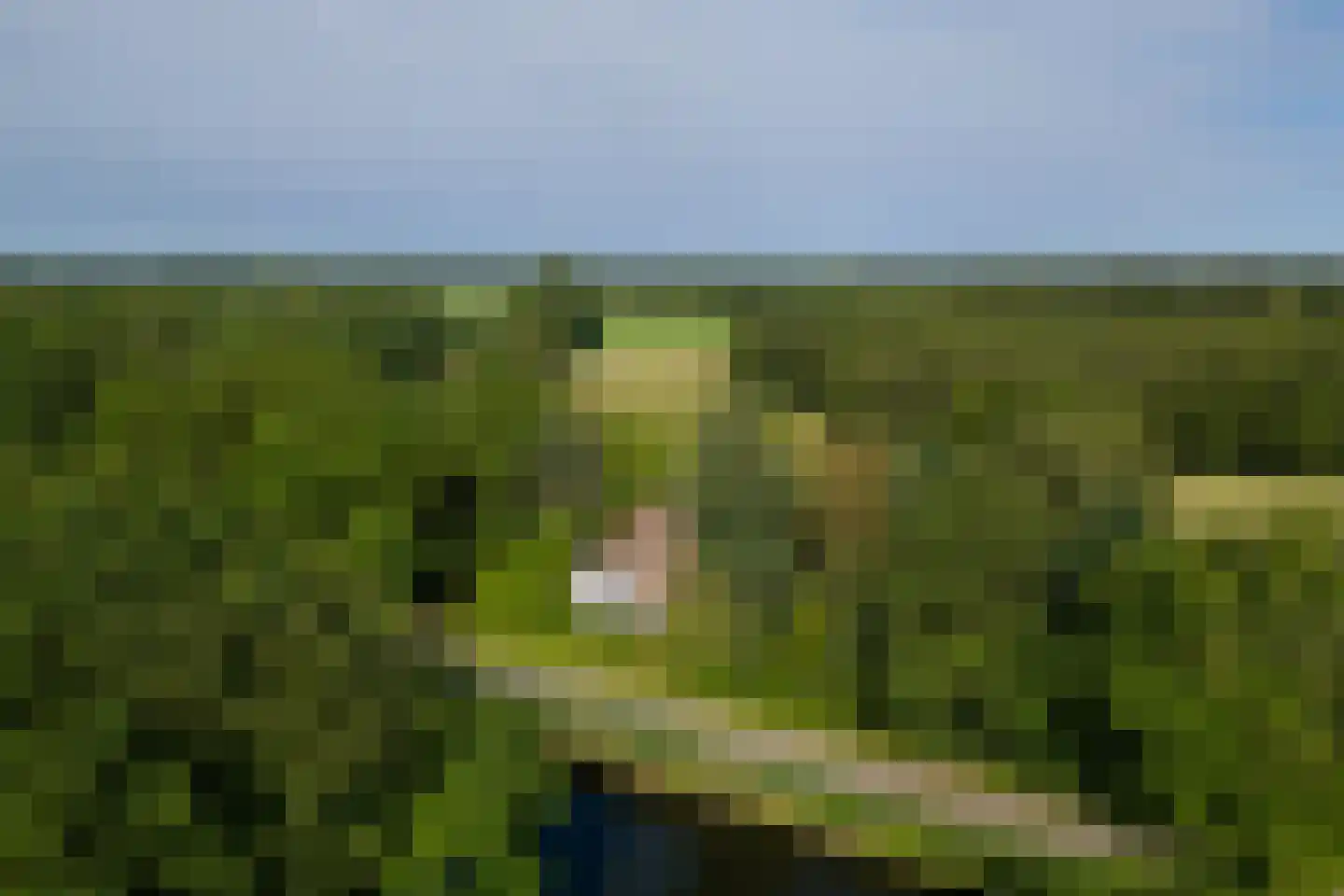 Kanaaldijk West 45 Schalkhaar thumbnail 42