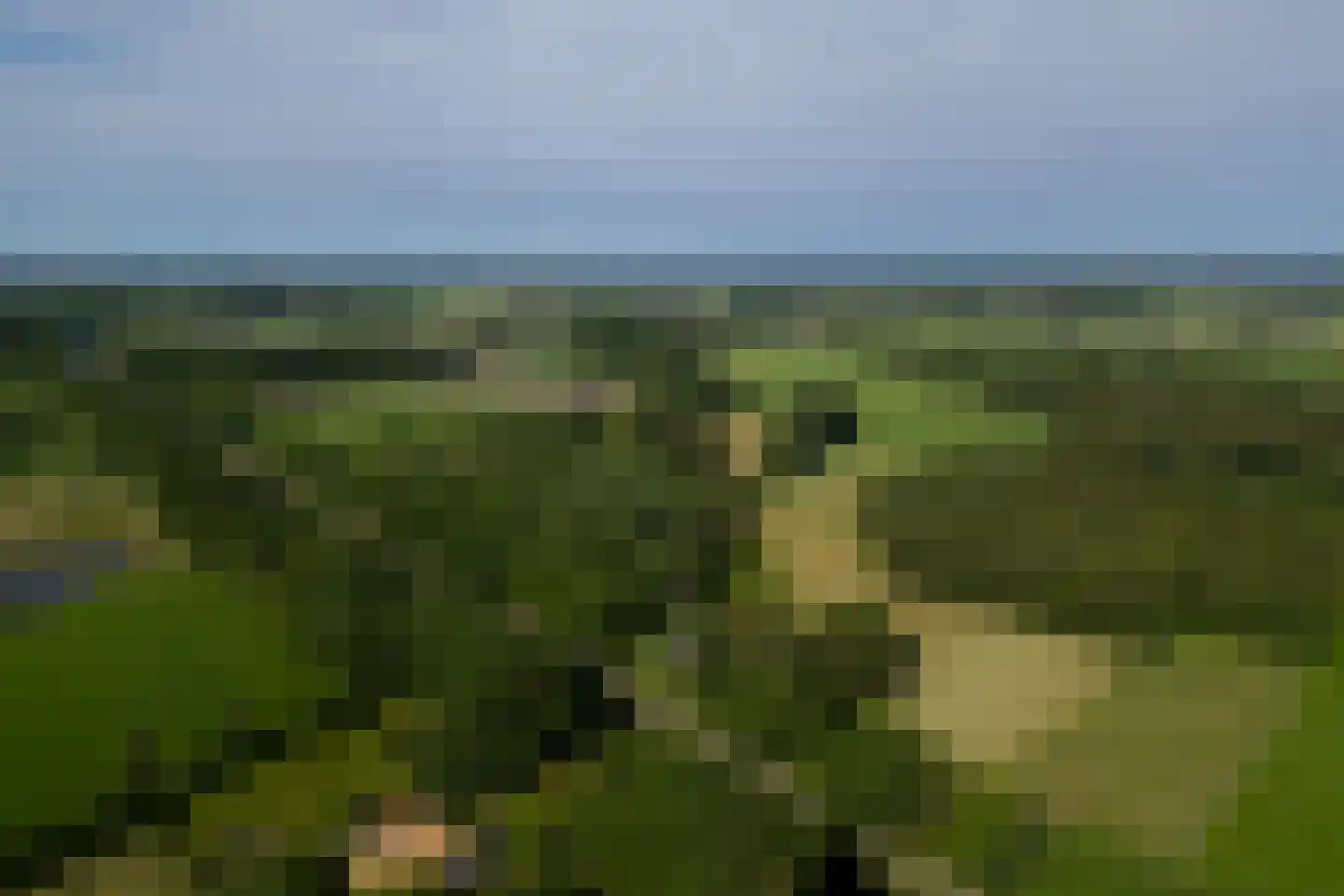 Kanaaldijk West 45 Schalkhaar thumbnail 43