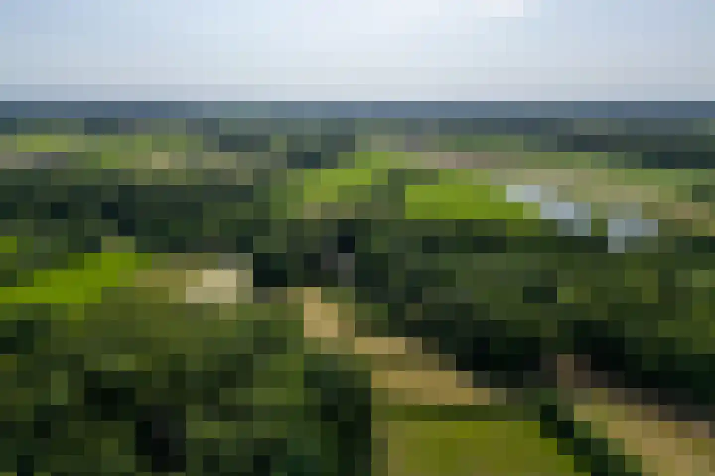 Kanaaldijk West 45 Schalkhaar thumbnail 44