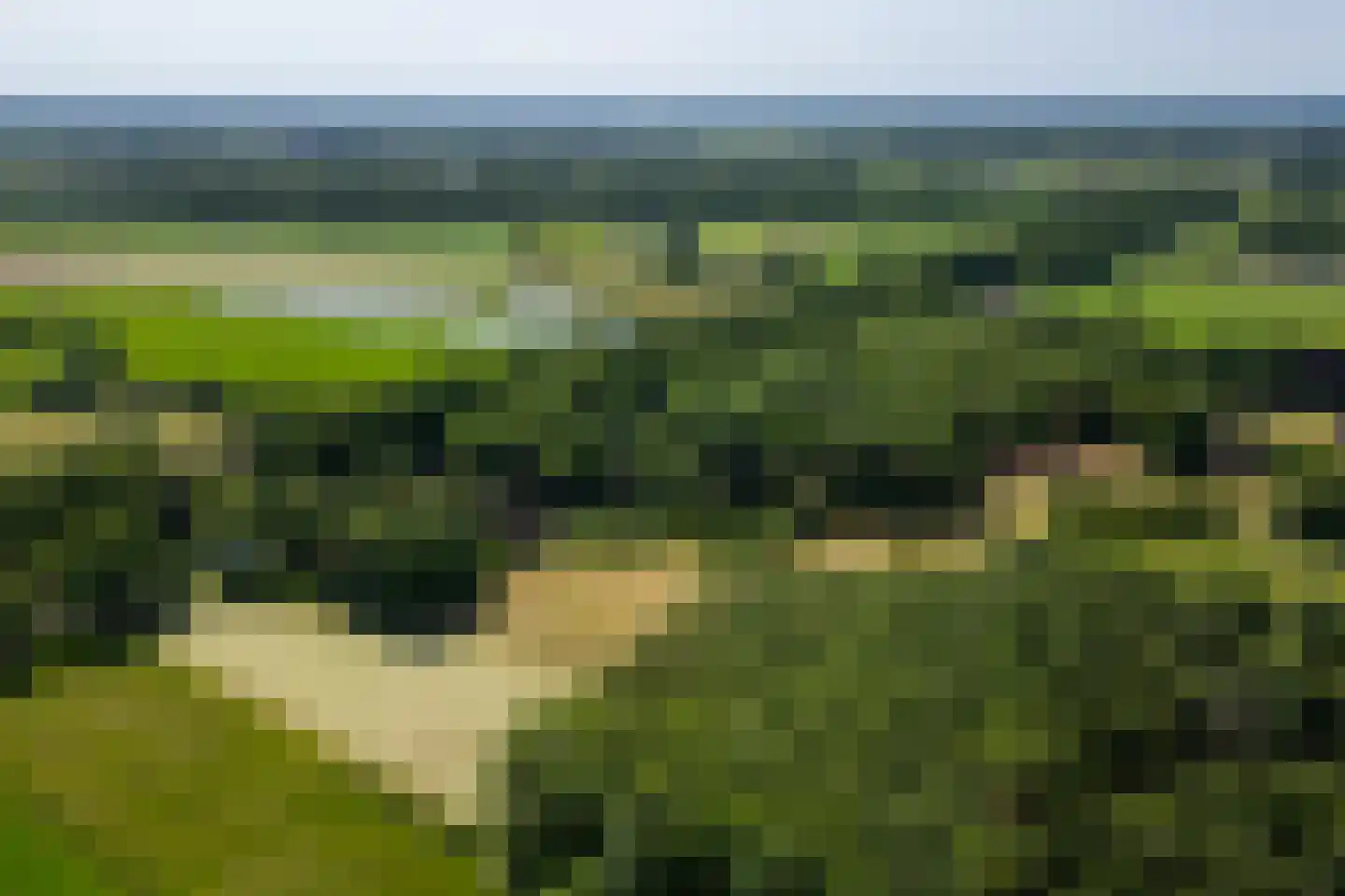 Kanaaldijk West 45 Schalkhaar thumbnail 45
