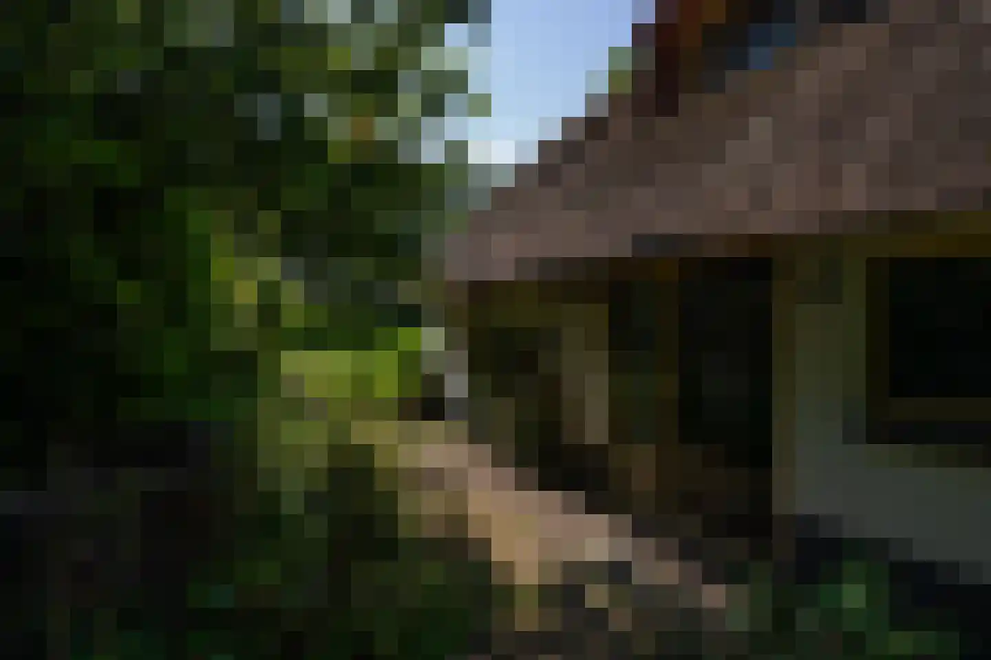 Kanaaldijk West 45 Schalkhaar thumbnail 52