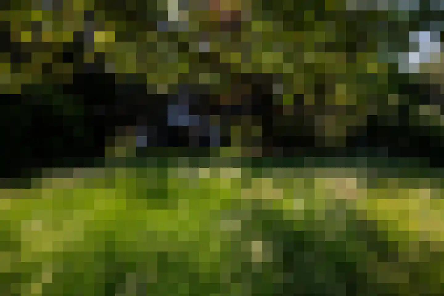 Kanaaldijk West 45 Schalkhaar thumbnail 53