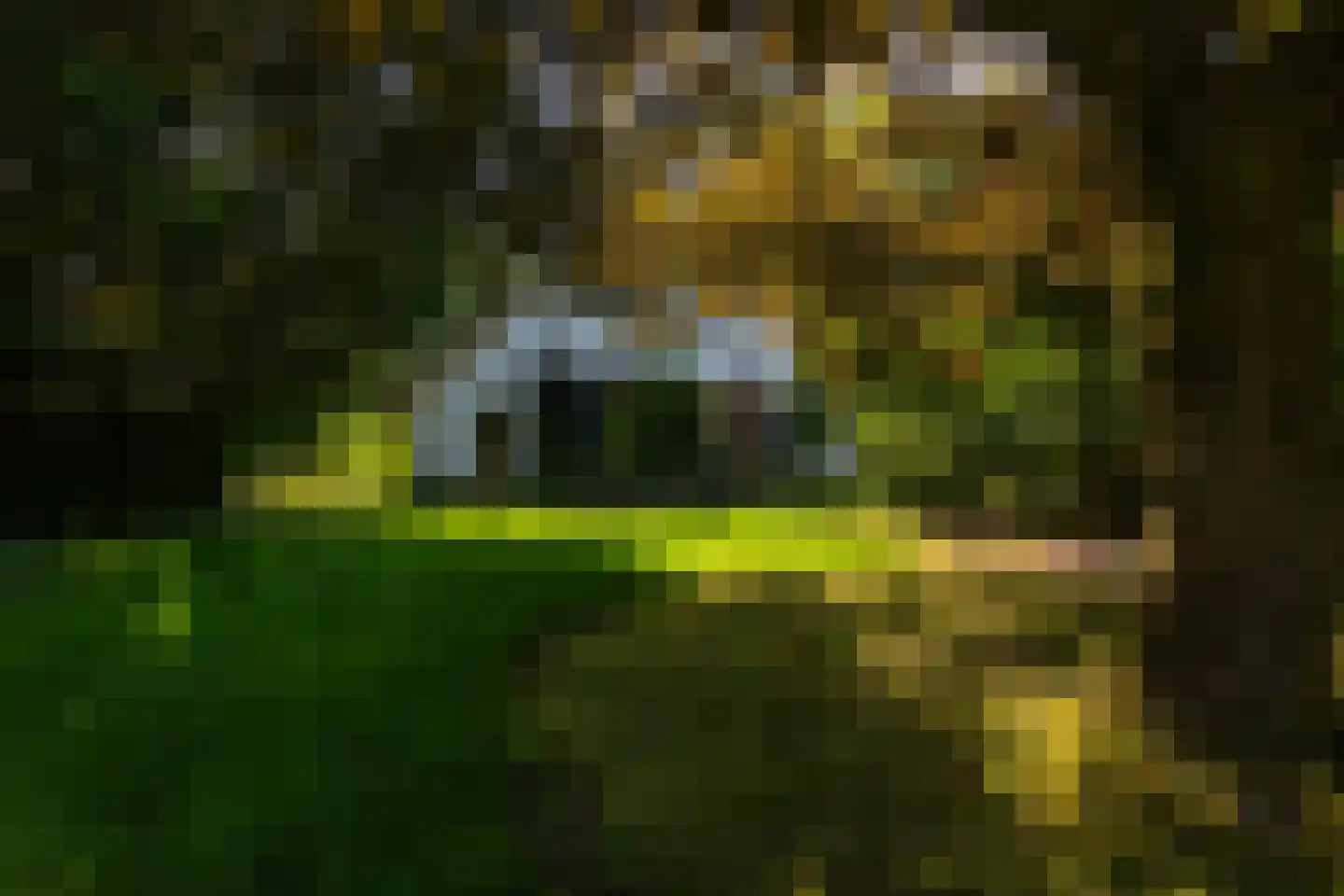 Kanaaldijk West 45 Schalkhaar thumbnail 54