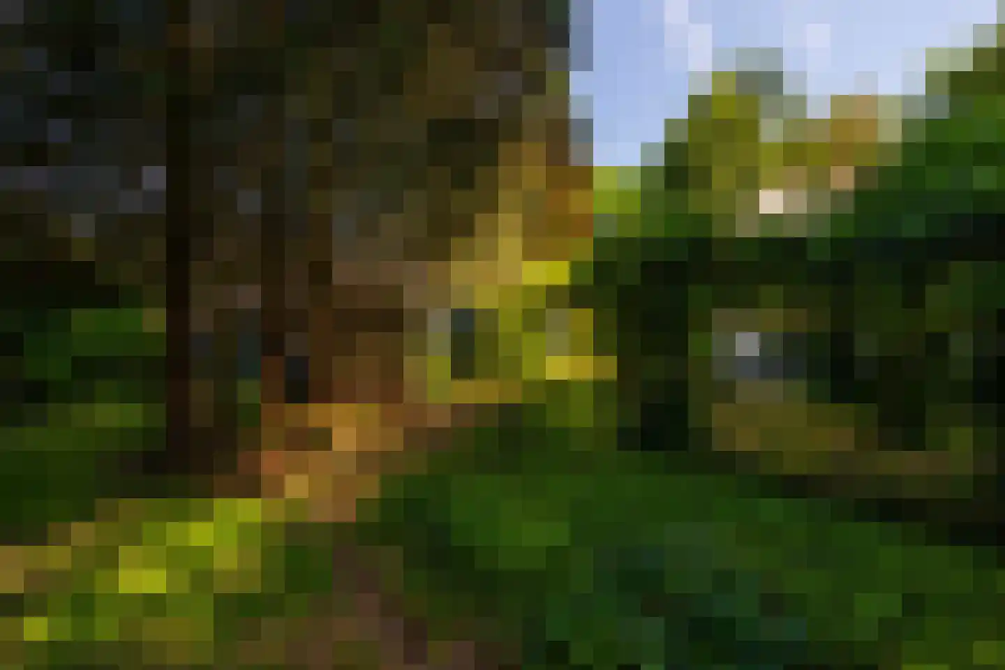 Kanaaldijk West 45 Schalkhaar thumbnail 55
